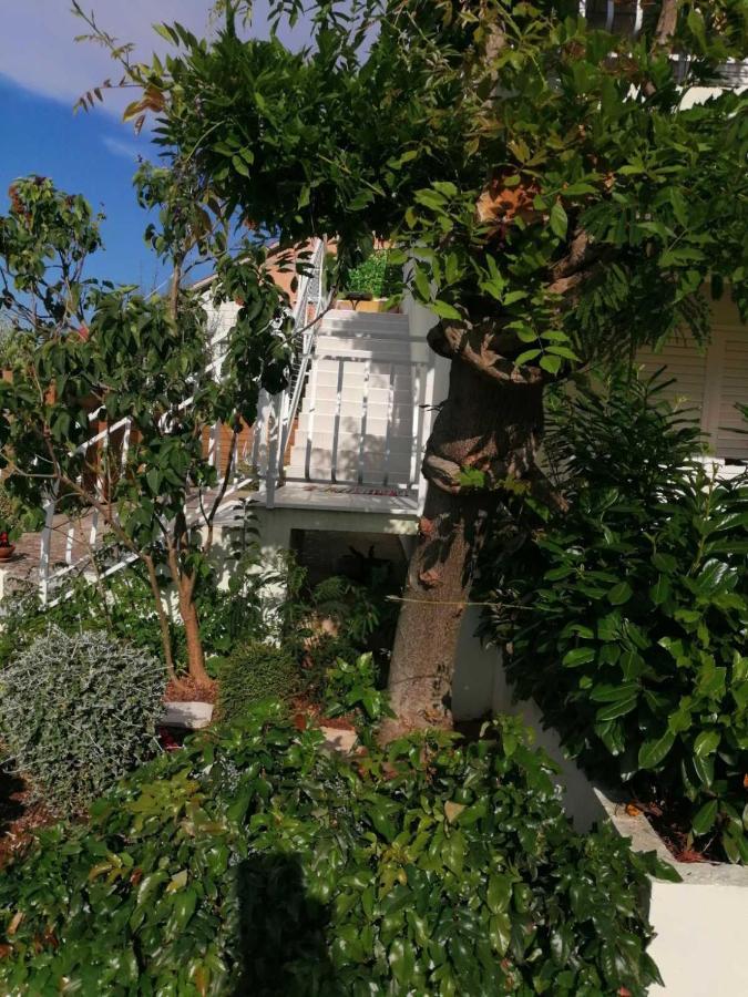 Apartman Lucija Korčula Eksteriør billede