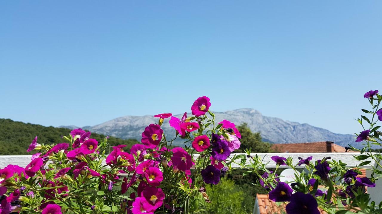 Apartman Lucija Korčula Eksteriør billede