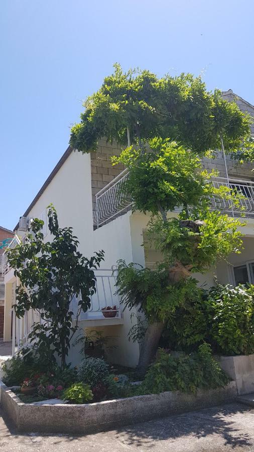 Apartman Lucija Korčula Eksteriør billede