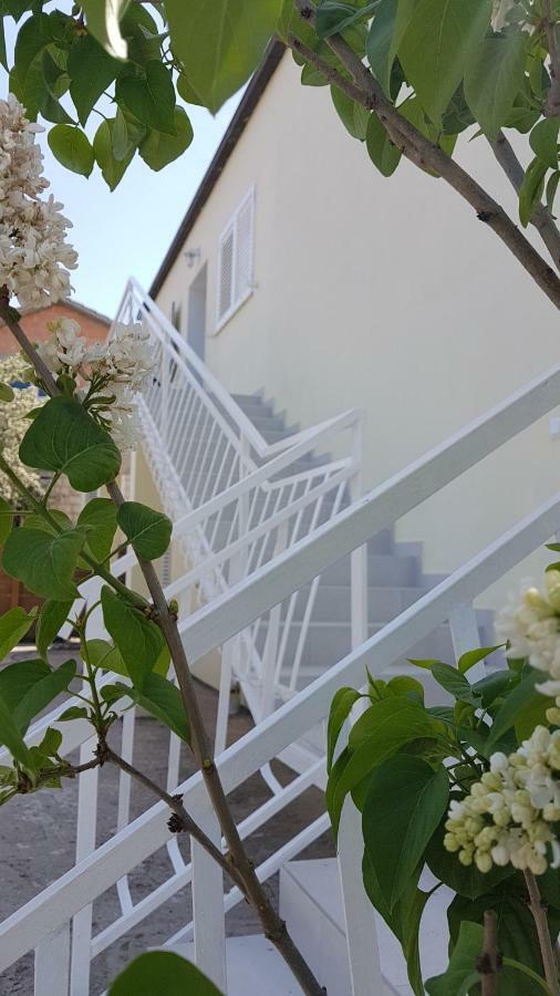 Apartman Lucija Korčula Eksteriør billede
