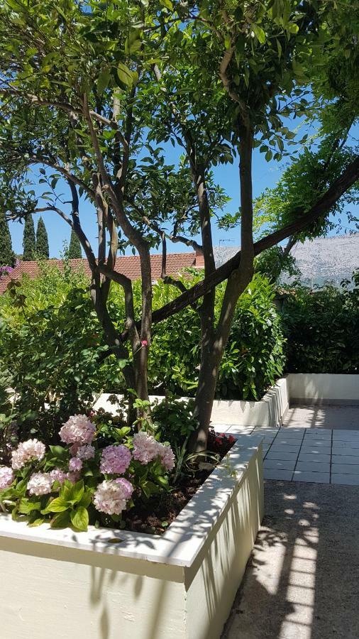 Apartman Lucija Korčula Eksteriør billede